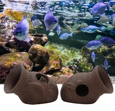 Image de Solidchoice - Ensemble de 2 décorations pour aquarium : grottes pour poissons et crevettes