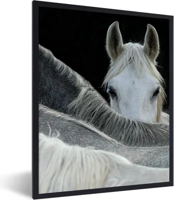 Produktbild von MuchoWow® Gerahmtes Poster Pferde - Tiere - Schwarz - Weiß 60x80 cm - Poster mit Schwarzem Bilderrahmen Wandposter Rahmen Foto Bilder - Premium - Wanddeko Wohnzimmer