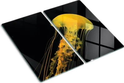Produktbild von Glasplatte zum Schutz der Kochfläche – Abdeckung für die Kochplatte – Abdeckung für die Induktionskochplatte – 2 Stück, 30x52 cm – Einfache Reinigung – Gehärtetes Glas – Gelatinose (Motiv)