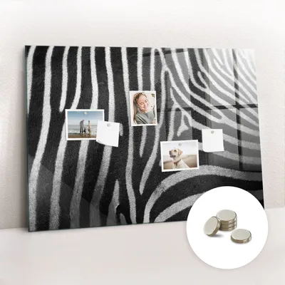 Imagen del producto de Pizarra magnética de pared, con superficie de vidrio y diseño arqueado. Incluye 5 imanes. Dimensiones: 100 x 70 cm. Diseño de cebra