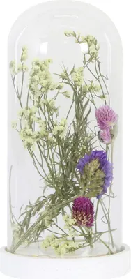 Produktbild von Dijk Kuppel mit Blumen 10 x 10 x 22.5 cm