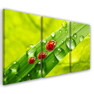 Produktbild von Triptychon auf leinwand grün natur 120x80 cm Feeby grün wandbild bereit zum aufhängen