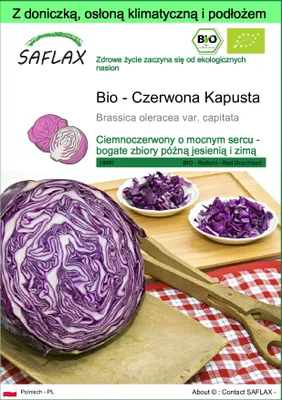 Zdjęcie produktu dla SAFLAX - Garden to go - Bio - Czerwona Kapusta - 250 Nasiona - Z doniczką, pokrywą klimatyczną i podłożem do uprawy - Brassica oleracea var. capitata
