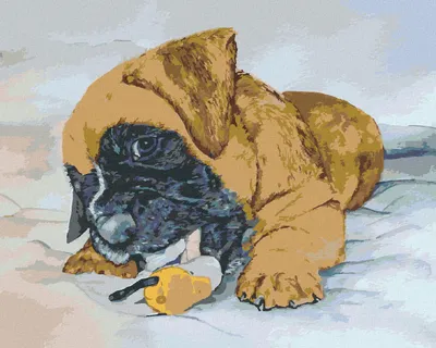 Produktbild von Zuty - Malen nach Zahlen - DEUTSCHER BOXER WELPE, 40x50 cm, ohne Keilrahmen