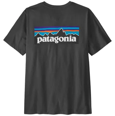 Immagine prodotto di T-shirt Patagonia P-6 Logo da Uomo
