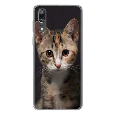 Produktbild von MuchoWow® Handyhülle Schutzhülle Hülle für Huawei P20 Katze - Schwarz - Porträt Silikon Softcase Handy Hülle - Hardcover