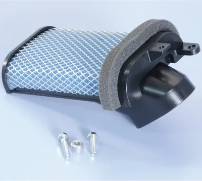 Produktbild von POLINI Luftfilter Variatorenkühlung Yamaha T-Max 500/530