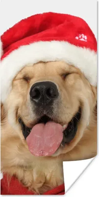 Produktbild von MuchoWow® Poster Hund - Lustig - Lachen - Kinder - Jungen - Mädchen 75x150 cm - Dekoration für die Wände