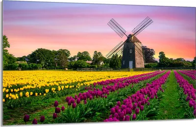 Produktbild von Glasschutzplatte für den Herd 80x52 Łąka