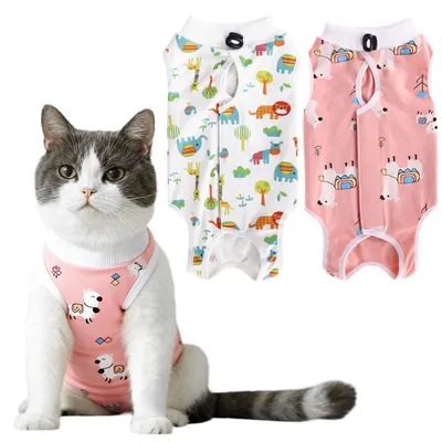 Imagen del producto de Set de 2 bodys para gatos postoperatorios