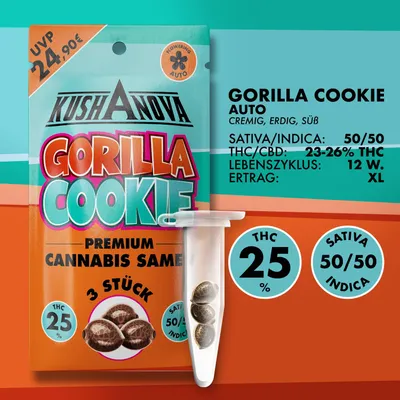 Image de Kit de graines Kushanova - Gorilla Cookie
