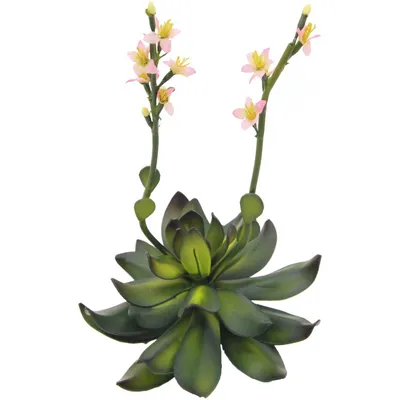 Zdjęcie produktu dla EUROPALMS Róża skalna (EVA), sztuczna roślina, różowa, 32 cm