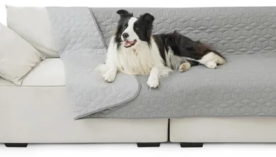Produktbild von Hundedecke wasserdicht rutschfest 132x208 cm Grau XL