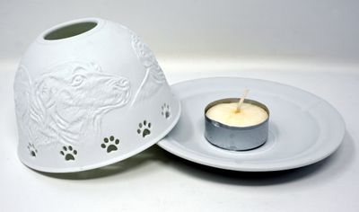 Dome Light Hunde