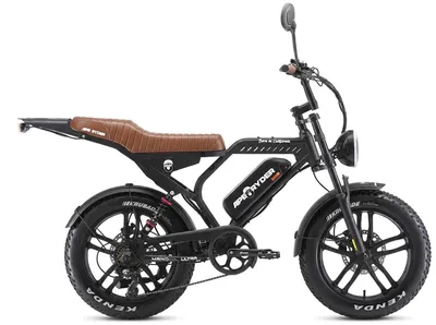Immagine prodotto di Fat Bike Elettrica Ape Ryder Mandril Ultra 250W 48V Bici Elettrica Pedalata Assistita Autonomia 50 km Nero Opaco