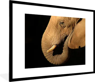 Produktbild von MuchoWow® MuchoWow® Gerahmtes Poster Elefant - Tiere - Nahaufnahme - Schwarz 80x60 cm - Poster mit zchwarzem Bilderrahmen - Schlafzimmer-Dekorationen - Fotoposter