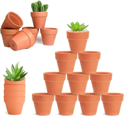 Imagen del producto de Pequeñas macetas con orificio de drenaje, 20 unidades, de 4,8 x 4 cm, ideales para cactus y suculentas
