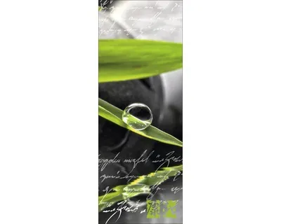 Produktbild von Glasbild 'Ayurveda II' im Hochkantformat, 30x80 cm, im Feng Shui Stil