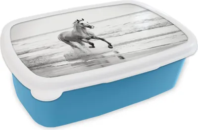 Produktbild von KitchenYeah® Lunchbox Brotzeit Brotdose 17x11 cm Pferde - Luft - Meer Kinder Brotzeitdose - Lunch - Kunststoff  - Brotbüchse - Sandwichbox - Lunchbox für Kinder