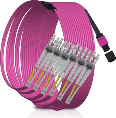 Image de Câble à fibres optiques XWYWX MPO-LC 12 fibres 20m
