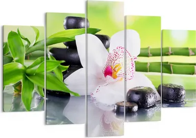 Produktbild von Bild auf Leinwand - Leinwandbild - blume orchidee - 150x100cm - Wand Bild - Wanddeko - Wandbilder - Leinwanddruck - Bilder - Kunstdruck - Wanddekoration - Leinwand bilder - Wandkunst - EA150x100-3659