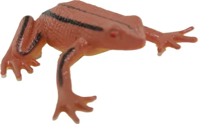 Produktbild von Cornelissen - 821089 - Pfeilgiftfrosch, Frosch, braun, 4.5cm, PVC