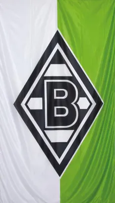 Produktbild von Borussia Mönchengladbach Hissfahne 150 x 250 cm