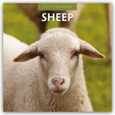 Image de Moutons - Calendrier de 16 mois pour 2027