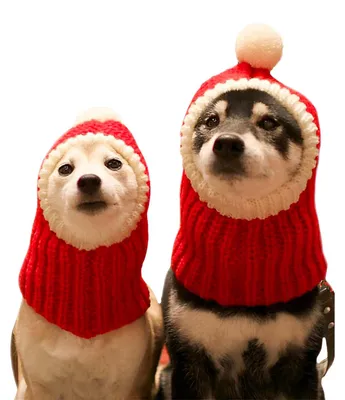 Weihnachts-Hundemütze mit Bommel, Strick-Snood, Rot, L