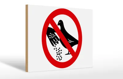 Produktbild von Holzschild Warnschild 30x20cm Keine Tauben füttern