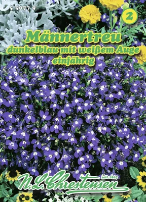 Artikelbild 1 von 'Männertreu Dunkelblau mit weißem Auge' aus der Kategorie Blumensamen