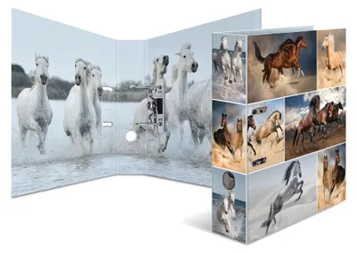 Productafbeelding van Herma 7164, motiefordner met paardenmotief, formaat A4, 70 mm