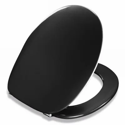 Produktbild von Pressalit 2000 WC-Sitz mit Deckel Schwarz