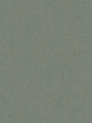 Obrázek produktu pro A.S. Creation | Natural Living | 386622 | netkané tapety | hladké | 10,05 x 0,53 m | zelené | obývací pokoj | hala | kancelář | kuchyně | obývací pokoje