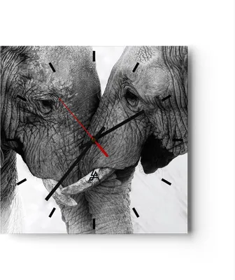 Produktbild von Wanduhr - Quadrat - Glasuhr - Elefanten Safari Bond - 40x40cm - Schleichendes Uhrwerk - Lautlos - zum Aufhängen bereit - Dekoration Modern - Wanddekoration aus Glas - C3AC40x40-4973