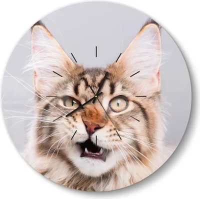 Produktbild von DEQORI Glasuhr Ø50 cm Modern 'Maine Coon Katze faucht' Wanduhr Glas Uhr Design leise
