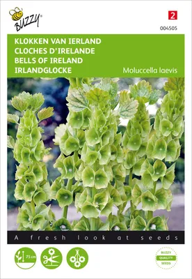 Produktbild von Irlandglocke | Blumensamen von Buzzy Seeds