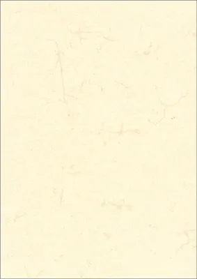 Produktbild von Elefantenhautpapier neutral A4 190 g/qm weiß Packung mit 10 Stück