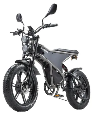 Produktbild von DM711 E-Bike - Fatbike Elektrofahrrad - Dualmotor 2000 W Peak - 48V 20Ah Lithium-Akku - 50 cm Breitreifen - Reichweite 31–60 km - bis 25 km/h
