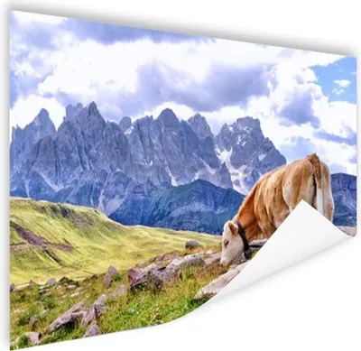 Produktbild von MuchoWow® Poster Alpen - Kuh - Berg 60x40 cm - Schlafzimmerdekoration