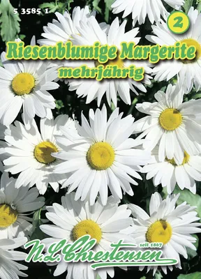 Produktbild von Margerite Riesenblumig | Margeritensamen von N.L. Chrestensen