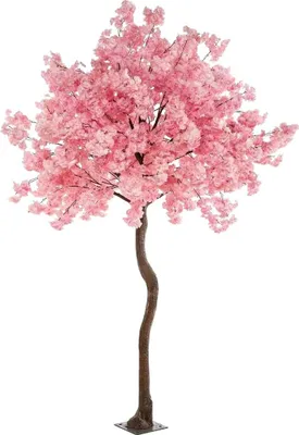 Produktbild von Emerald Künstlicher Kirschbaum - Elia | 270 cm, für drinnen, Kunstbaum, wie echt, Allergiker geeignet, pflanzliche Dekoration Praxis, Office & Wohnzimmer