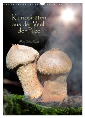 Produktbild von Kuriositäten aus der Welt der Pilze (Wandkalender 2027 DIN A3 hoch), CALVENDO Monatskalender