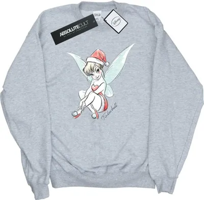 Produktbild von Disney - "Fairy" Sweatshirt für Herren BI47161 (L) (Grau)
