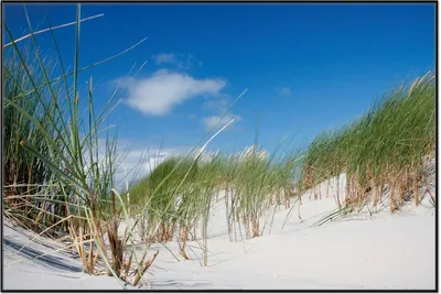 Produktbild von Wallario Wandbild Düne am Strand unter blauem Himmel, Größe: 61 x 91,50 cm, Poster mit schwarzem Aluminiumrahmen