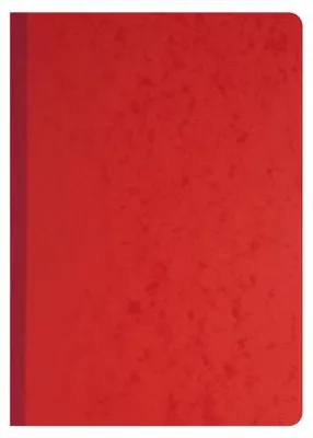 Produktbild von Exacompta Geschäftsbuch gebunden 2 Betragsspalten je Seite 40 Blatt 110g A4 400E