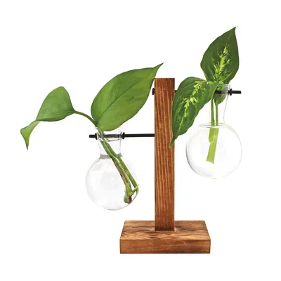 Image de Winkee - Hydrovase Fleur | 2X vase de fleurs avec 1x support en bois | Table Planter | Décoration moderne | Station de Propagation en verre | Verre de plantes dérivées | Vase en verre racine | Cadeau pour la Fête des Mères, Anniversaire