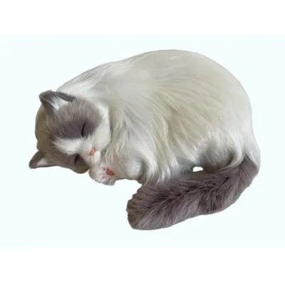 Produktbild von Perfect Petzzz 92646 Ragdoll-Kätzchen