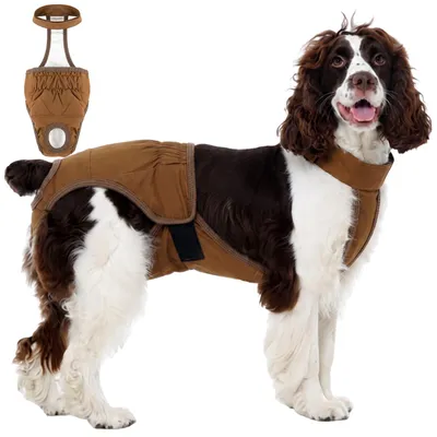 Hundewindel für Hündinnen, waschbar, Klettverschluss, Khaki, XL