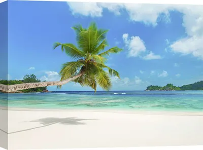 Produktbild von Kunstdruck auf Leinwand - Palme und tropischer Strand, Seychellen – 70x50 cm